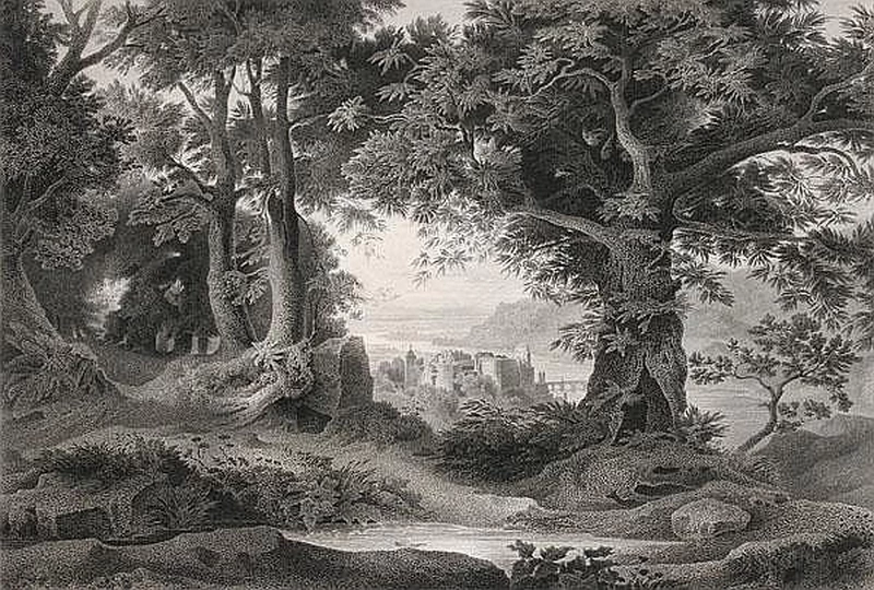 Carl Philipp Fohr - Castello di Heidelberg